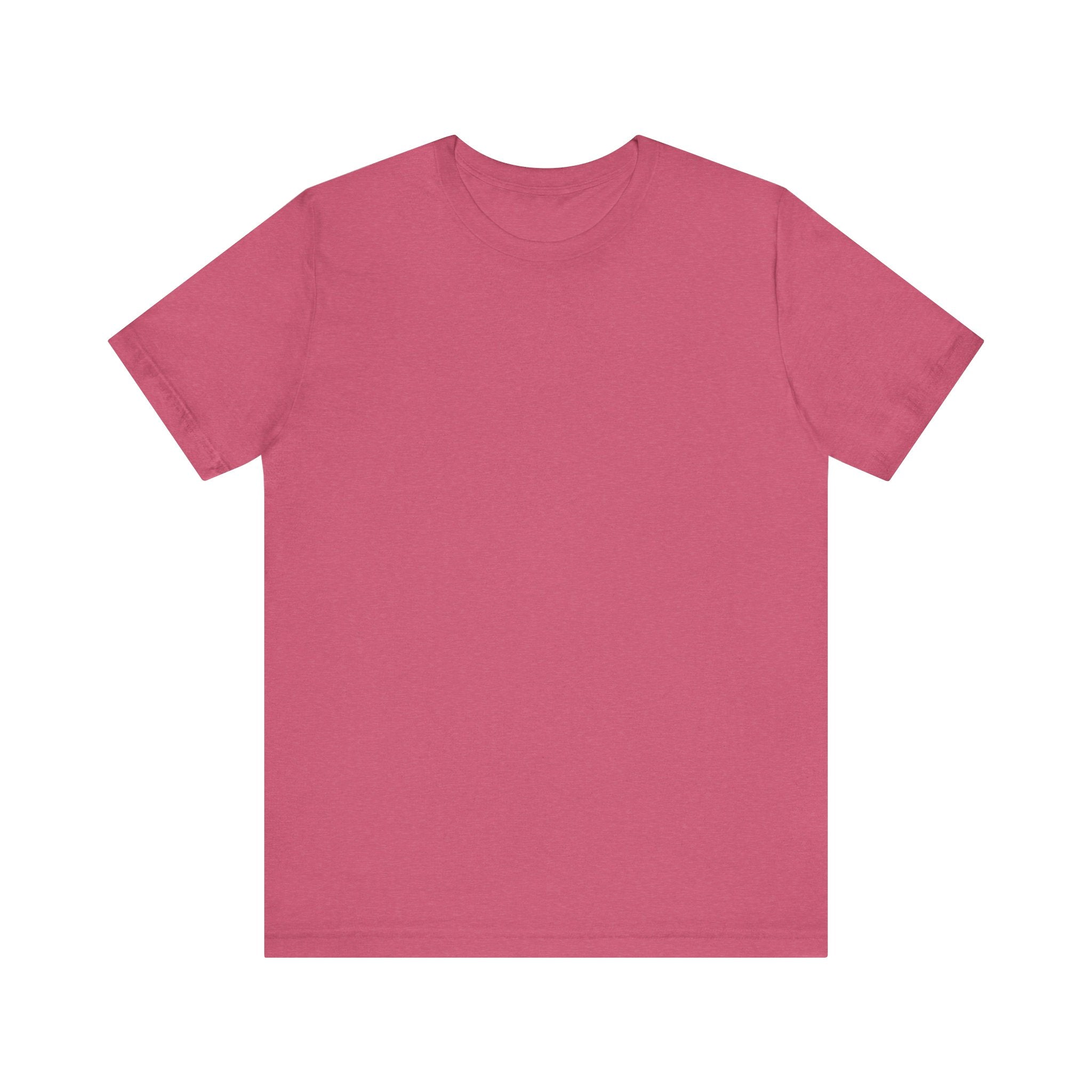 Classic Literature T-Shirt - Too Busy, To Clean