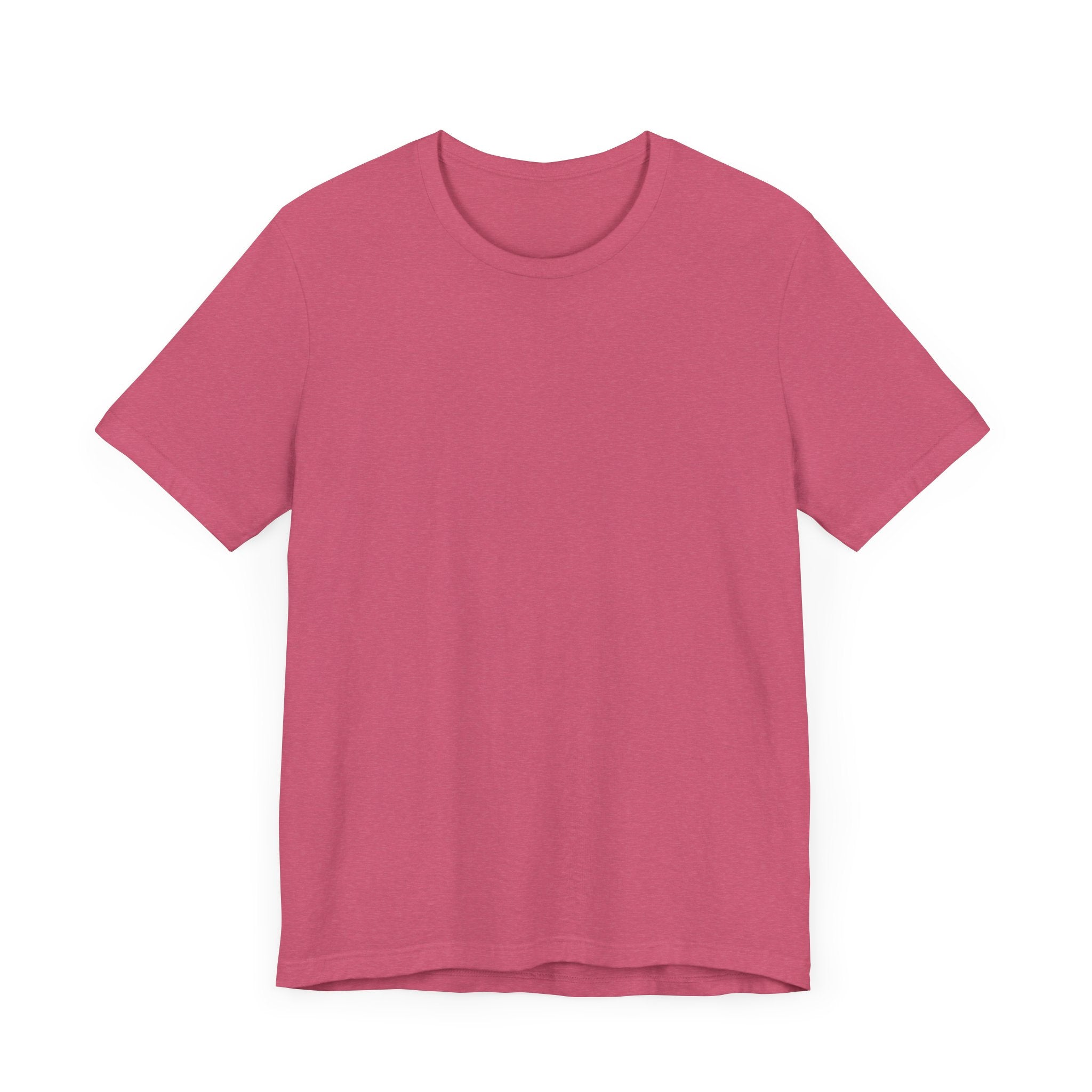 Classic Literature T-Shirt - Too Busy, To Clean