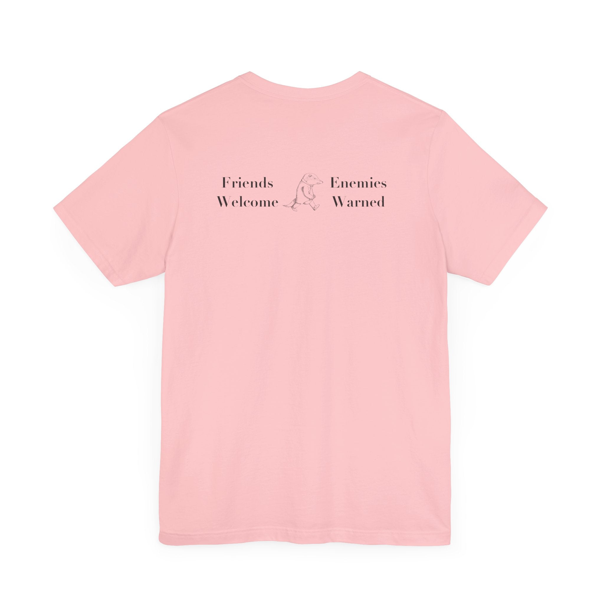 Classic Literature T-Shirt - Friends Welcome Enemies Warned